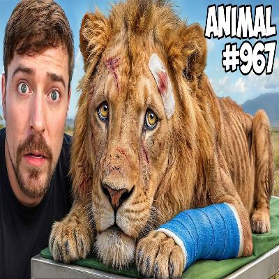 I Saved 1,000 Animals From Dying