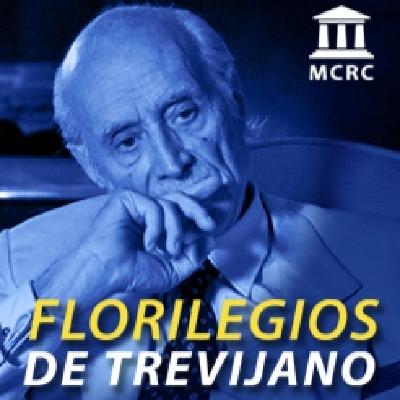 La Constitución produce la corrupción