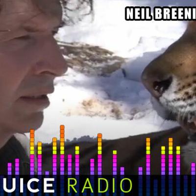 GJR - Neil Breenius And More