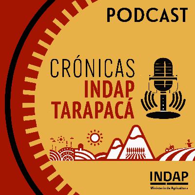 Episodio 05: Taller de Nutrición Forrajera en Tarapacá