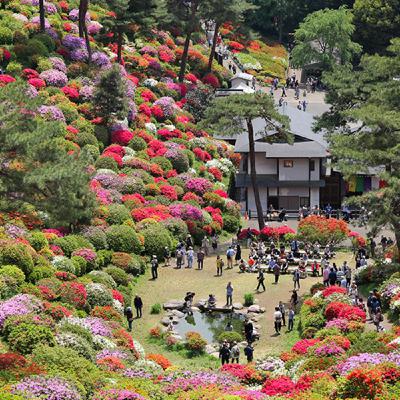 [VOYAGE #36] Golden Week : La semaine de vacances du printemps au Japon