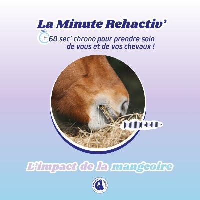 L'impact de la mangeoire sur le corps du cheval