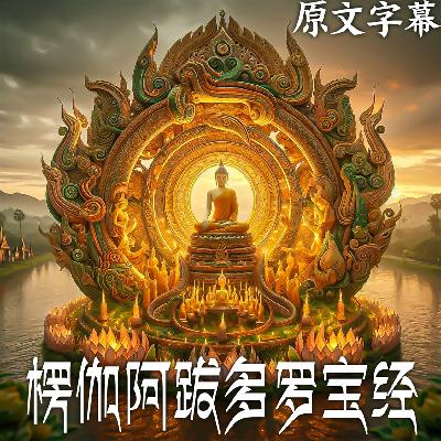 74：【直译】 《楞伽阿跋多罗宝经》 一切佛语心品之四（完）