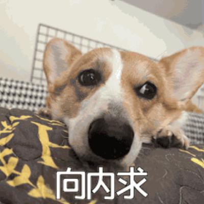 除了抱冬瓜以外，5种零成本自我调控的降温方法