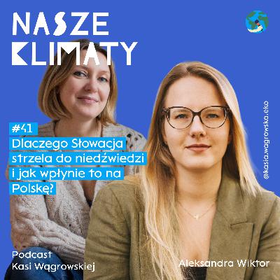 #41 Dlaczego Słowacja strzela do niedźwiedzi i jak wpłynie to na Polskę?