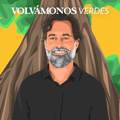 Gravitando alrededor de alerces milenarios | Pedro Pablo Achondo | 138