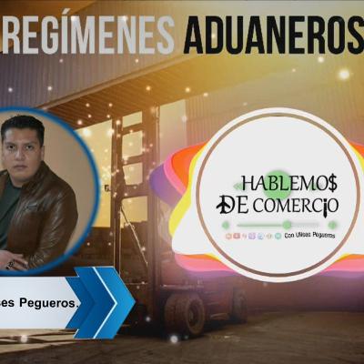 Regímenes Aduaneros
