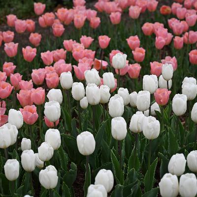 67：允许关系退潮、安放职场棱角、共舞人生迷茫：生命自有其温柔流向