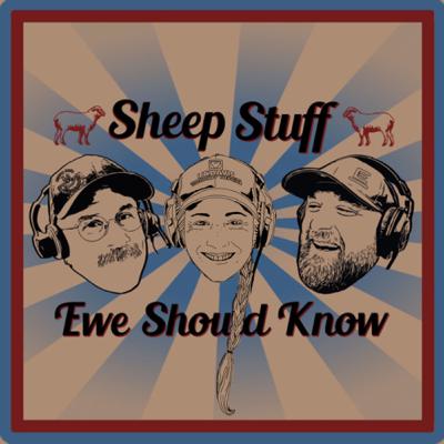 #147 Wool Shirts = Sunshine + Water (just add sheep)