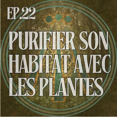 Purifier son habitat avec les plantes locales