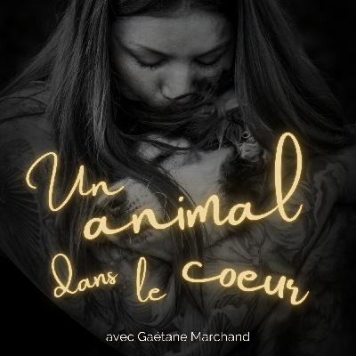 6. Chanter pour les animaux : une rencontre d'âme à âme - avec Plumes 6. Chanter pour les animaux : une rencontre d'âme à âme - avec Plumes