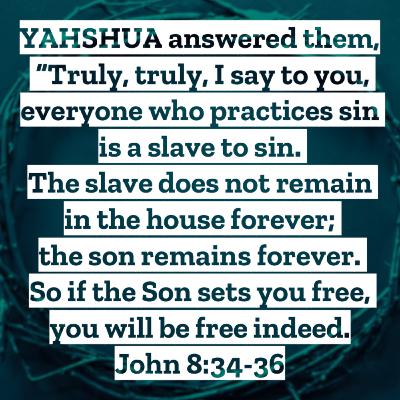 #6 Waiting On The King Episode 3 (John 7-9) Sabbath Fellowship