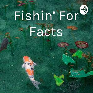 Episode 4: ALICE, But Not In Wonderland