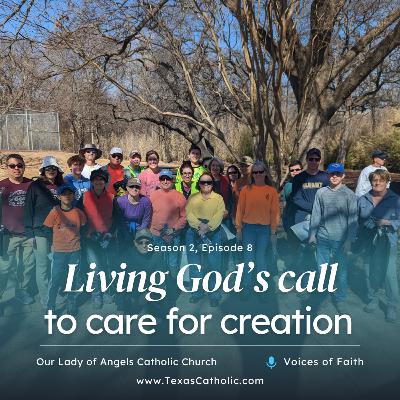 Voices of Faith: Living God's call to care for creation