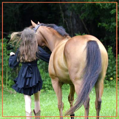 Horse Renting 102: The Fine Print in Horse Lease Agreements