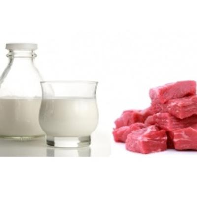 013 - Crescimento ou Dividendos?