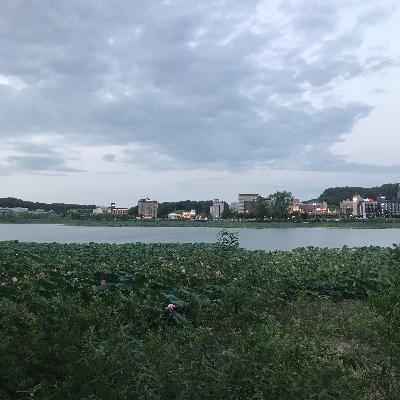 What's In Our Fridge? What's In Our Fridge?