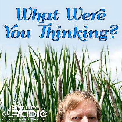 What Were You Thinking - Episode 95 Special Magee Marsh 2017 Listener Depreciation Day Podcast