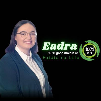 Sionainn Nic Cána - Polaitíocht áitiúil i nDún Dealgan
