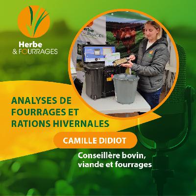 HERBE ET FOURRAGES - Analyses de fourrages et rations hivernales