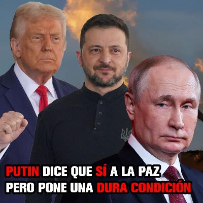 PUTIN podría aceptar un ALTO AL FUEGO pero quiere que se DETENGA la ayuda a UCRANIA. PUTIN podría aceptar un ALTO AL FUEGO pero quiere que se DETENGA la ayuda a UCRANIA.