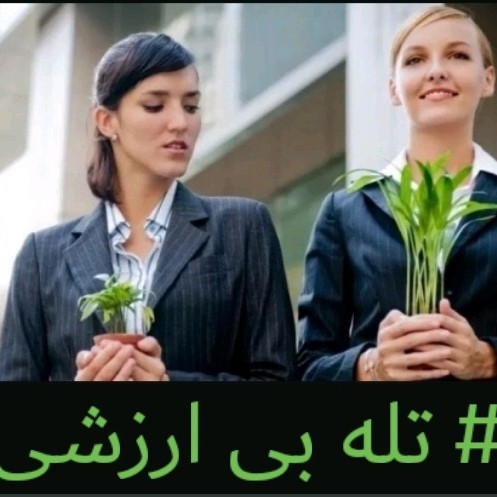 تله بی ارزشی تله بی ارزشی