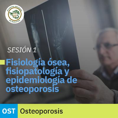 Fisiología ósea, fisiopatología y epidemiología de la osteoporosis | Dr. Jorge Luis Alberto Morales Torres Fisiología ósea, fisiopatología y epidemiología de la osteoporosis | Dr. Jorge Luis Alberto Morales Torres