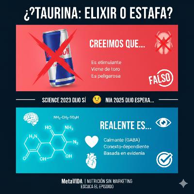 Taurina: La Mentira de las Bebidas Energéticas Taurina: La Mentira de las Bebidas Energéticas