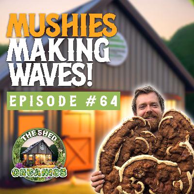 #64 - Growing Gourmet Medicinal Mushrooms | Mickey Pascoe [Little Acre]