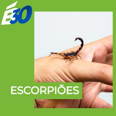 Escorpião