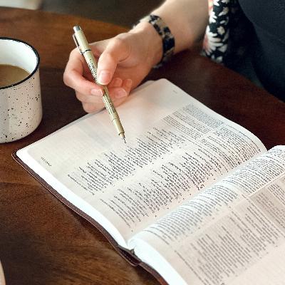 Why Study the Bible?