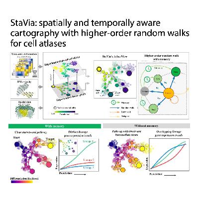 329-StaVia：单细胞图谱的时空制图术