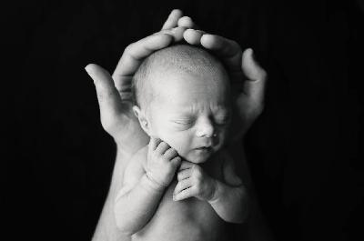 "Wonderfully and Fearfully Made" "Wonderfully and Fearfully Made"