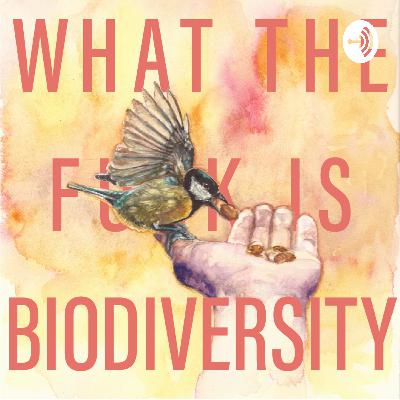 Episode 9: Native bees with Dr Sheila Colla