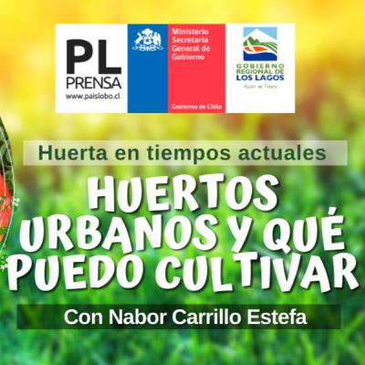Episodio 2: "Huertos urbanos y qué cultivar" en Huerta en tiempos actuales con Nabor Carrillo Episodio 2: "Huertos urbanos y qué cultivar" en Huerta en tiempos actuales con Nabor Carrillo