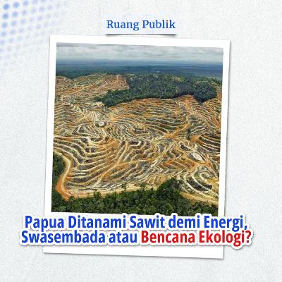 Papua Ditanami Sawit demi Energi, Swasembada atau Bencana Ekologi?