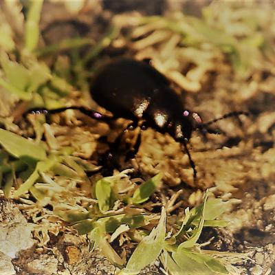 interlude - rubbish interlude - rubbish