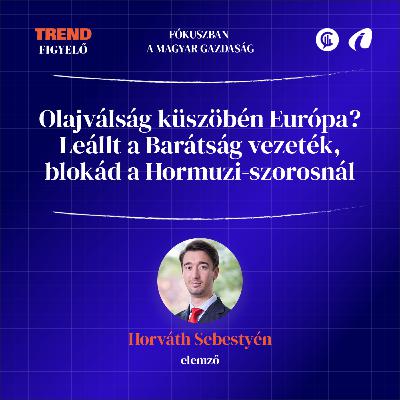 #14 TrendFigyelő - Olajválság küszöbén Európa? Leállt a Barátság vezeték, blokád a Hormuzi-szorosnál #14 TrendFigyelő - Olajválság küszöbén Európa? Leállt a Barátság vezeték, blokád a Hormuzi-szorosnál