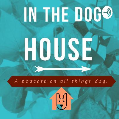 In the Doghouse (episode 4) - Toys are not just for kids! In the Doghouse (episode 4) - Toys are not just for kids!