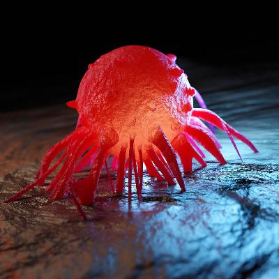 Warum heißt die Krankheit Krebs "Krebs"? Warum heißt die Krankheit Krebs "Krebs"?