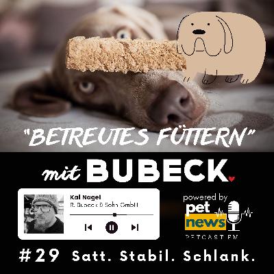 #29 - Satt, stabil, schlank – der Bubeck-Effekt #29 - Satt, stabil, schlank – der Bubeck-Effekt