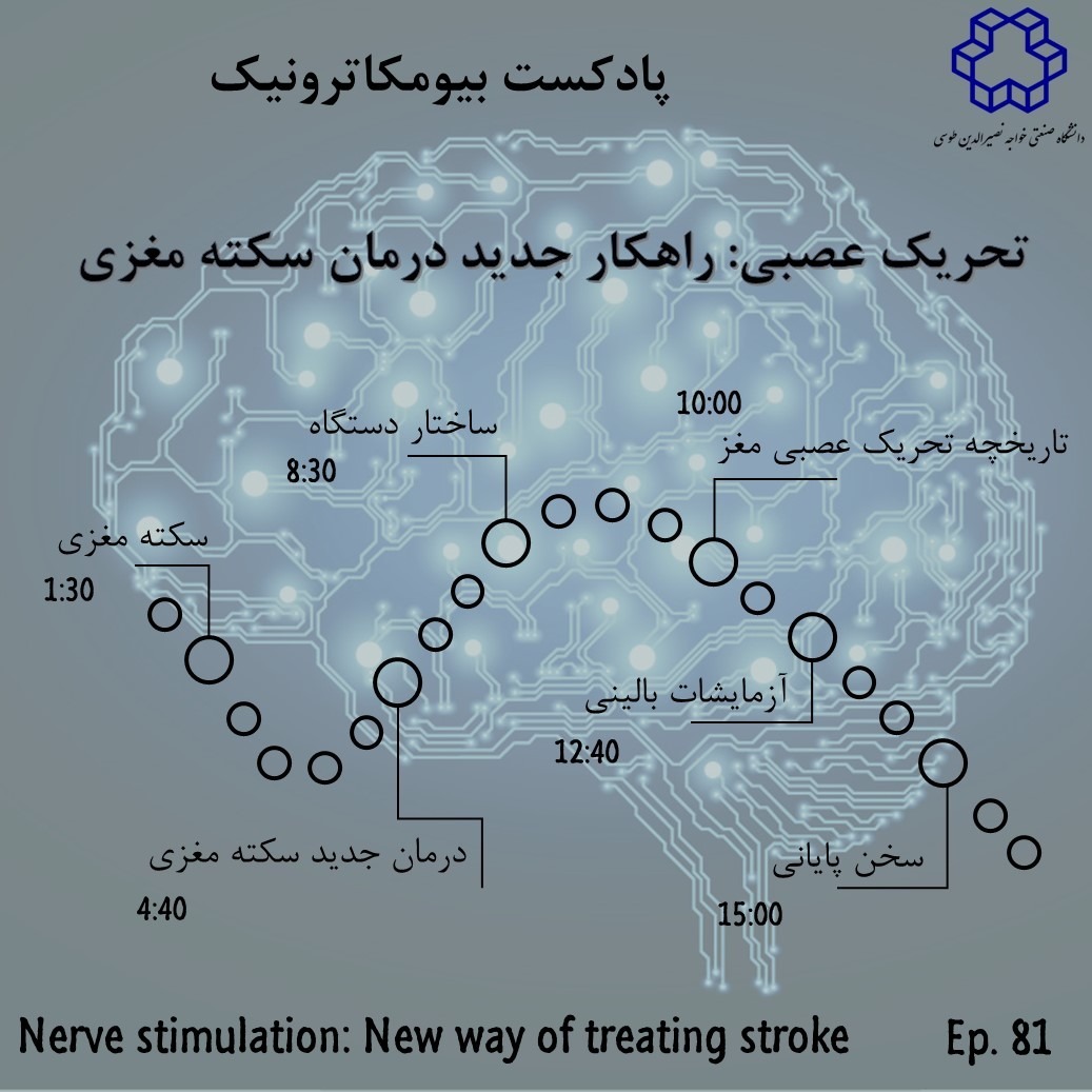 هشتاد و یک - تحریک عصبی راهکار جدید درمان سکته مغزی