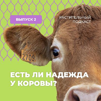 Есть ли надежда у коровы?