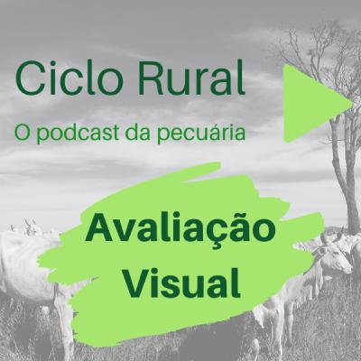 #06 - Avaliação Visual
