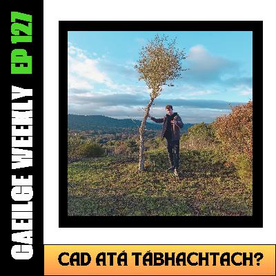 #127: Cad atá Tábhachtach? (NÍOS SIMPLÍ) #127: Cad atá Tábhachtach? (NÍOS SIMPLÍ)