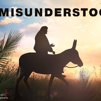 Misunderstood