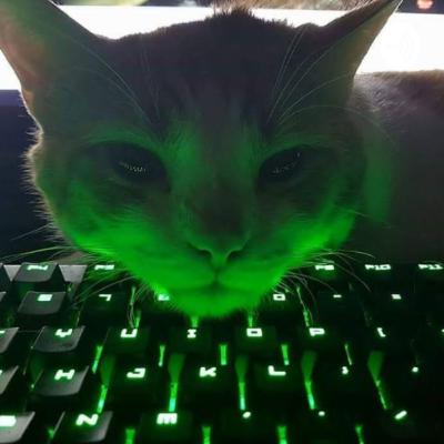 6. Filo Molusca e Filo Equinoderma