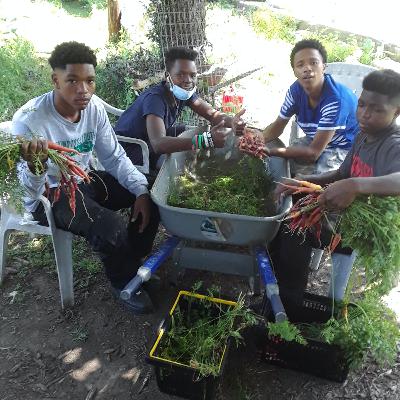 Meet Landmark Training Development Company | Memphis, TN