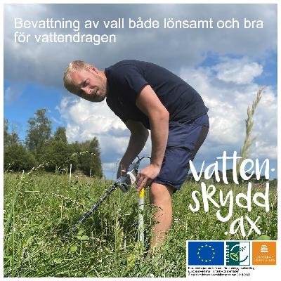Bevattning av vall både lönsamt och bra för vattendragen