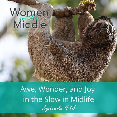 EP #446: Awe, Wonder and the Joy of Life in the Slow Lane in Midlife EP #446: Awe, Wonder and the Joy of Life in the Slow Lane in Midlife
